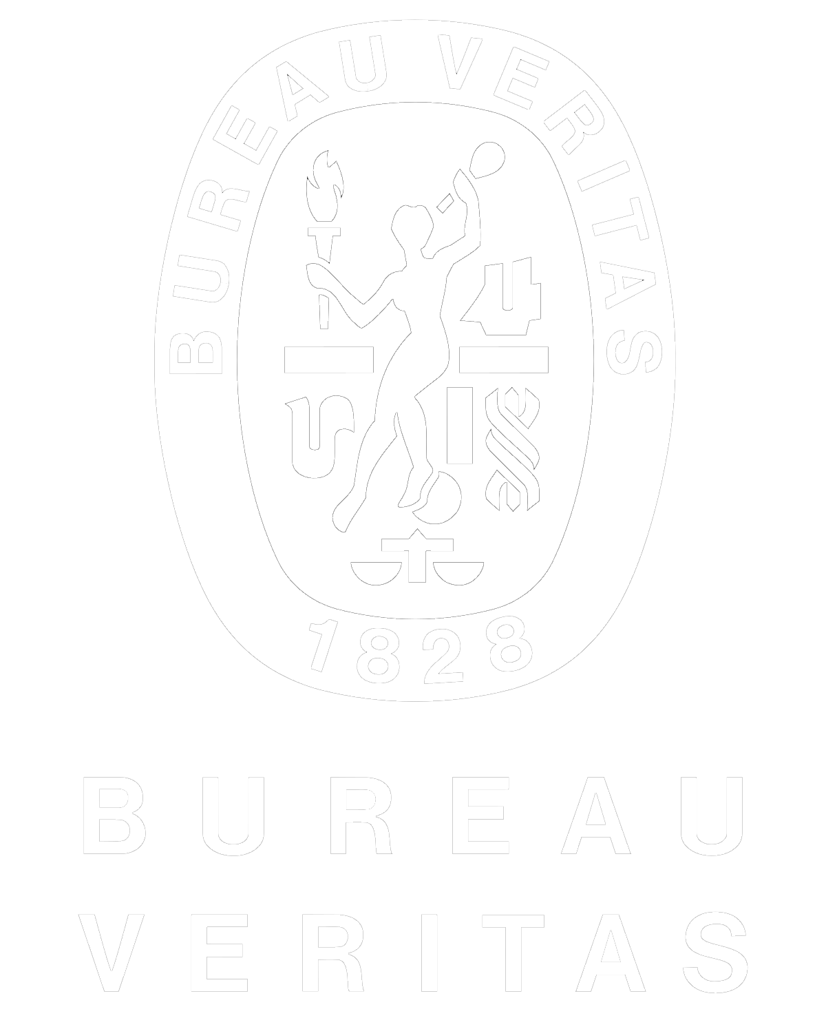 Bureau Veritas Logo